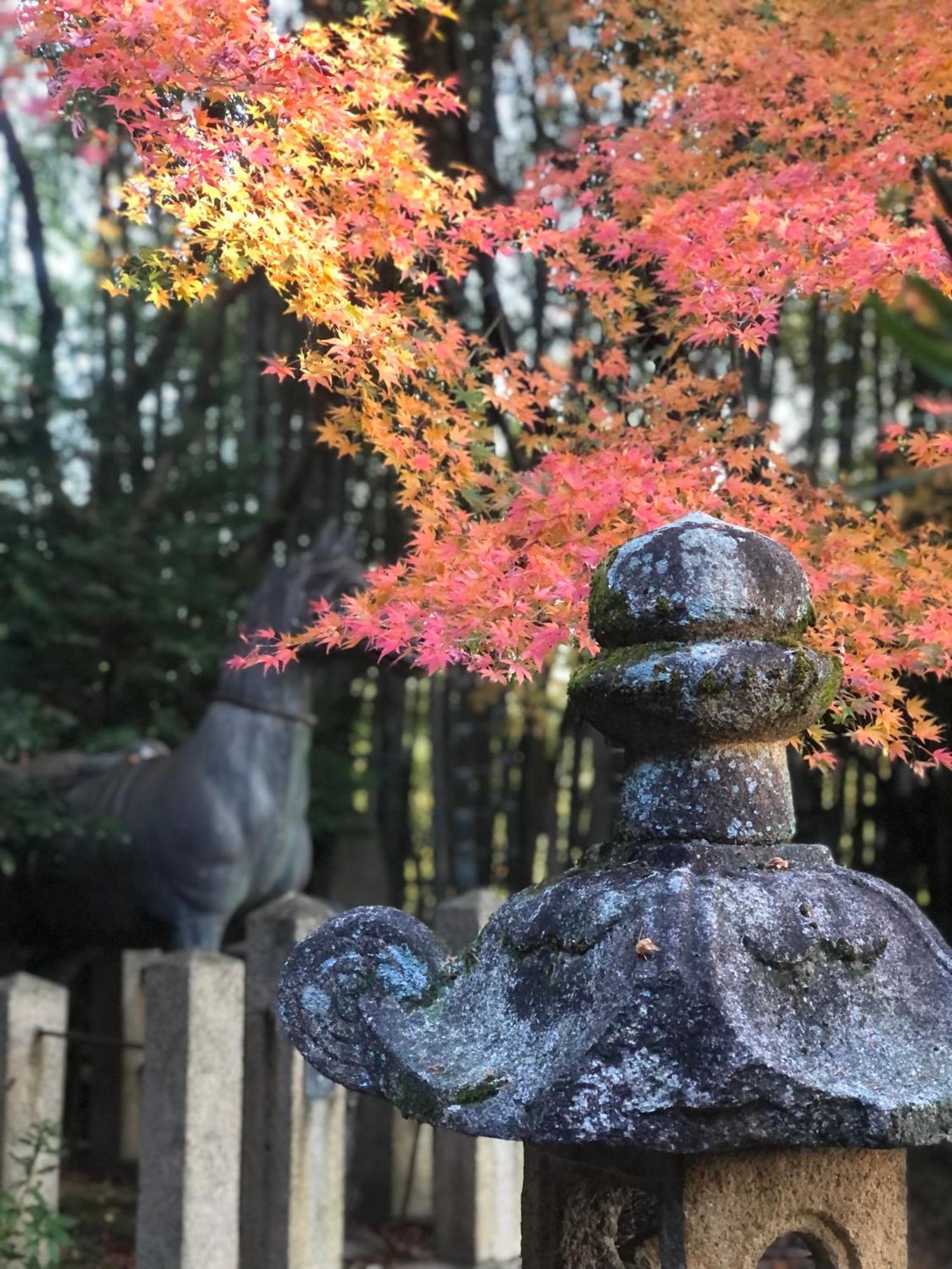 Inari-Home Kyoto Exterior photo